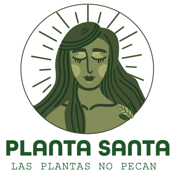 Planta Santa